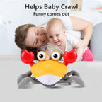 Crawling Crab Baby Toy Gifts: Tummy Time Toys Walking Dancing Cute Essentials Electric Induction Sensory Stuff Moving Babies Crabs with Light Up Music for Toddler Boys Girls Items Interaction Gadgets