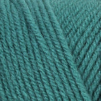 Red Heart Super Saver Jade E300-3862 (3-Skeins - Same Dye Lot) Worsted Medium #4 Acrylic Yarn for Crocheting and Knitting with Project Bag