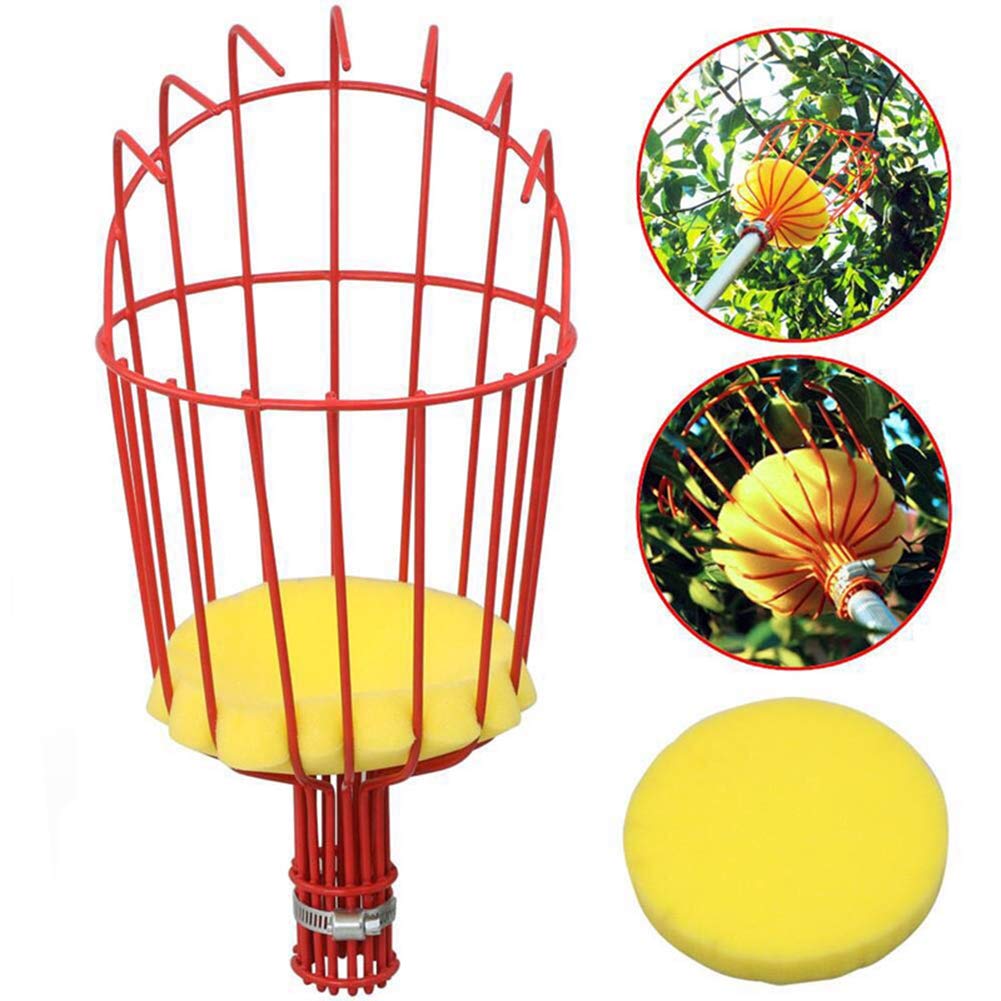 Suwimut 2 Pack Fruit Picker Basket Head, Fruit Harvesting Tool for Gathering Apple Mango Orange Avocados Lemon Peach, Fruits Tree Grabber Tool with Foam Cushion to Prevent Bruising (Pole Not Included)