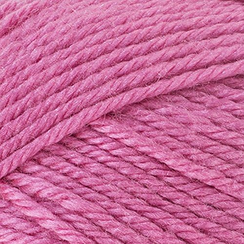 Red Heart Soft Baby Steps Strawberry E746-9702 (3-Skeins - Same Dye Lot) Worsted Medium #4 Acrylic Yarn for Crocheting and Knitting with Project Bag