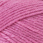 Red Heart Soft Baby Steps Strawberry E746-9702 (3-Skeins - Same Dye Lot) Worsted Medium #4 Acrylic Yarn for Crocheting and Knitting with Project Bag