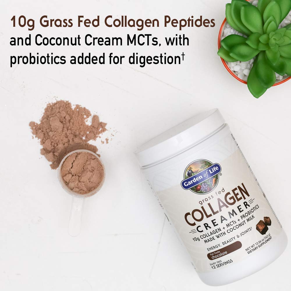 Garden of Life Grass Fed Collagen Creamer Powder - Chocolate, 12 Servings, Powder for Coffee Energy Beauty Joints, Collagen Peptides with Coconut MCTs, Keto Protein Supplements
