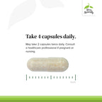 Terry Naturally Clinical Essentials - Supplement to Aid Bone, Cardiovascular & Immune Health - Supplement with Chelated Minerals - Supplement with B-Vitamins & Vitamin C - 120 Capsules