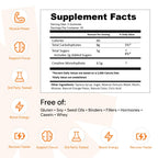 Create Creatine Monohydrate Gummies for Men & Women, Boost Focus, Strength, and Endurance, Anti-Melting Formula, Vegan, Gluten-Free, Non-GMO, 1.5g of Creatine per Gummy (Orange)