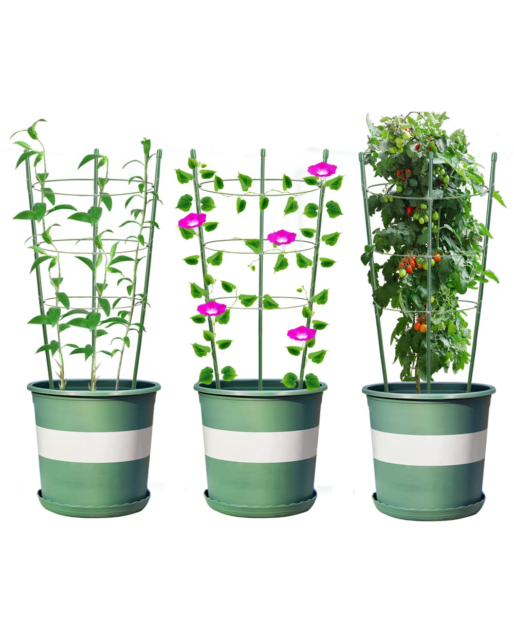 Alliico Plant Support Cages for Climbing Plant Upgrade Flower Tomato cage with Stand Stakes and Stable Support Rings, 3 Pack with 12 Clips (36")