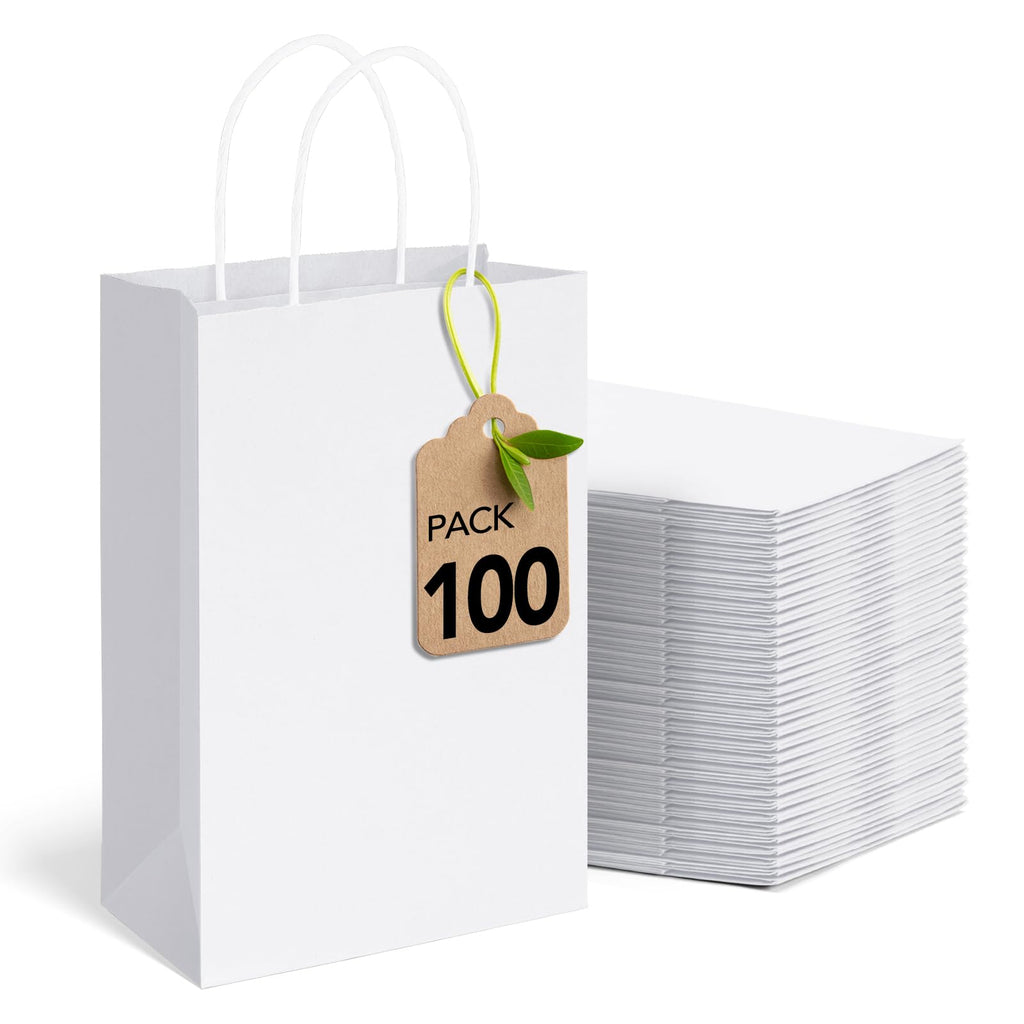 MESHA Paper Gift Bags 5.25x3.75x8 White Small Paper Bags with Handles Bulk,100 Pcs Kraft Paper Bag for Small Business,Birthday Wedding Party Favor Bag,Paper Shopping Bag