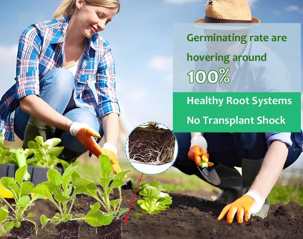 2 Inch 4-Cell Handheld Heavy Duty Soil Block Maker for Seed Starting