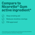 Amazon Basics Coated Nicotine Polacrilex Gum 4 mg, Ice Mint Flavor, Stop Smoking Aid, 160 Count (Previously Amazon Basic Care)