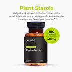 Endurance Products ENDUR - Phytosterols Plant Sterols Complex - 450 mg - Heart & Healthy Cholesterol Support, Prostate Health & Urinary Comfort Support - High-Potency - 180 Tablets