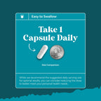 Free Form L Tyrosine 500mg Capsules - High Strength L-Tyrosine Supplement for Mental Energy and Focus Support - Amino Acid Nootropic Supplement for Mood Focus Attention and Cognitive Performance