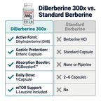 REVGENETICS Berberine Supplement 500mg, Dihydroberberine DHB Enteric Coated Capsules, Healthy Metabolism & AMPK Support, 6.7X Absorption, 1 Daily, Made in USA, 30 Ct, DiBerberine 300x