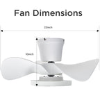 ocioc Quiet Ceiling Fan with LED Light 22 inch Large Air Volume Remote Control for Kitchen Bedroom Dining Room Patio
