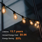 TJOY 12 Pack Vintage LED Edison Amber Light Bulbs, 60W Equivalent, Dimmable, 8W, 800 Lumens, 2200K Soft White, ST58, E26 Base LED Filament Bulbs, CRI80+, Antique Glass Style for Home, Bedroom
