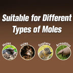 KQCWKH Mole Repellent for Lawns, Mole and Vole Repellent Outdoor, Gopher Repellent, Groundhog Repellent Outdoor, Armadillo Repellent, Mole Deterrent for Yard, Lasts Up to 3 Months, 8 Balls