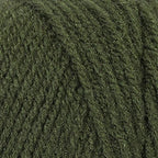 Red Heart Super Saver Medium Thyme E300-406 (3-Skeins - Same Dye Lot) Worsted Medium #4 Acrylic Yarn for Crocheting and Knitting with Project Bag
