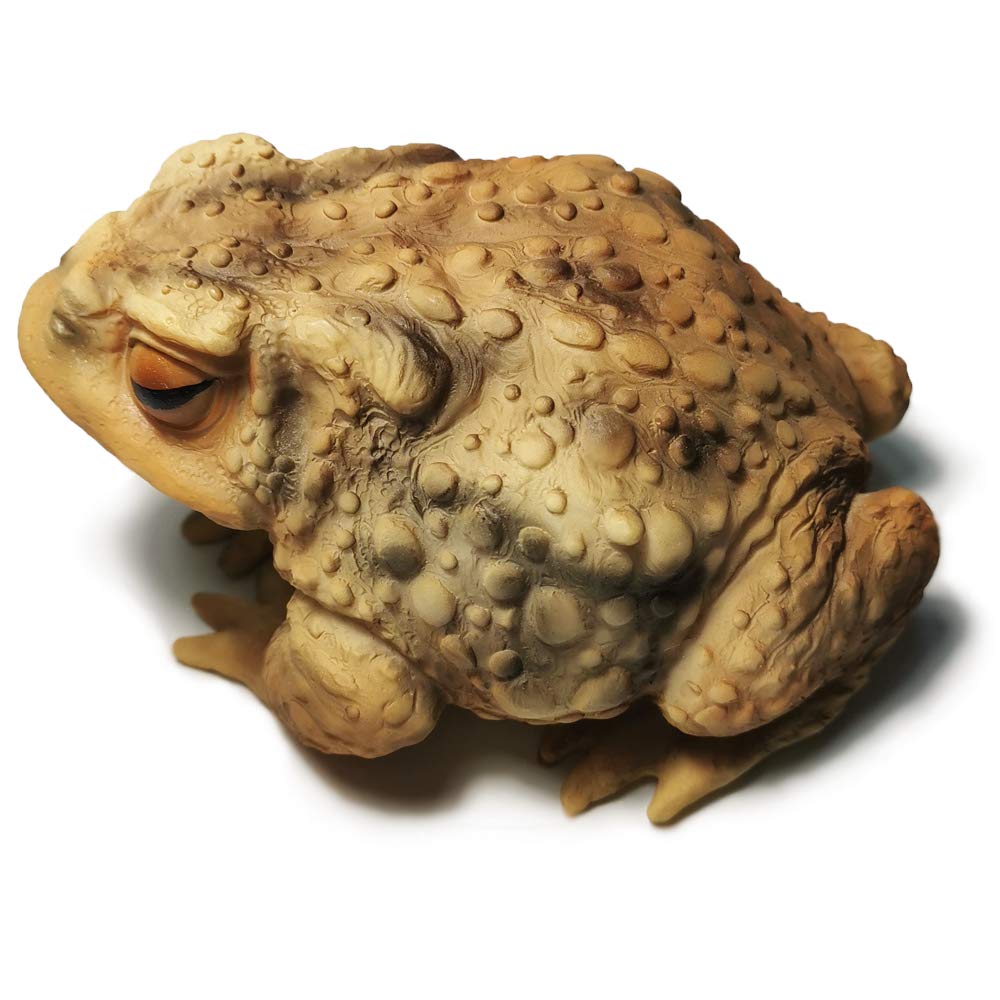 Sunthus Toad Frog Figurine for Outside Garden Resin Statue Outdoor