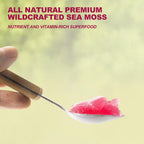 SumDIP 18.5OZ Seamoss Gel, Raw Wildcrafted Irish Seamoss Gel Immune and Digestive Support Vitamin Mineral Supplements, Elderberry Ginger