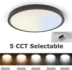 TALOYA Flush Mount LED Ceiling Light Fixture Black,12 Inch 20 Watt, Thin Ceiling Lamp Surface Mount for Kitchen Bedroom Utility Laundry Closet Room,5 Color Temperatures in One