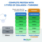 BioTrust Collagen Powder with Turmeric – 5 Types (I, II, III, V, X) – Turmeric Collagen Powder for Women & Men – Hydrolyzed Protein – Grass Fed Beef, Fish, Chicken, Eggshell Membrane (Golden Milk)