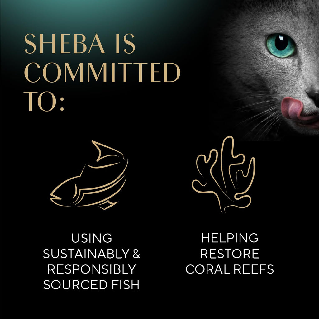 Sheba Perfect Portions Pate Wet Cat Food, Multipack, 2.6 oz, 24 ct