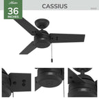 Hunter 36 inch Outdoor or Indoor Ceiling Fan No Light - Bronze Ceiling Fan without Light, For Patio, Porch, Garage, or Living Room, Standard Mount, 3 Blades, Pull Chain - Cassius 50318, Noble Bronze