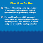 In The Swim Stain Away for Above Ground and Inground Swimming Pools - Removes Mineral Stains from Iron, Copper, and Magnesium in Swimming Pools - 1 Quart
