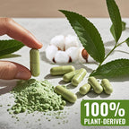 ATNreuro Size 1 Empty Vegan Capsules with 2 Micro Spoons - 1000 Count Empty Vegetarian Capsules - Empty Pill Capsules for Powders Supplements