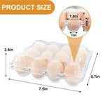 100 Pack 12 Count Plastic Egg Cartons – Bulk Cheap Clear Reusable | Egg Cartons Bulk, Egg Holder for Fridge, Egg Organizer for Refrigerator, Egg Storage for Refrigerator.