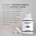 aeternum Premium Quality Fisetin 500mg 60 Capsules
