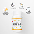 Lifepharm Laminine - Cellular Support Supplement for Overall Wellness, Cognitive Function, and Vitality (30 Count)