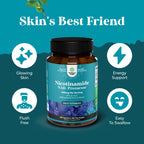 Vitamin B3 Niacinamide 500mg Capsules - Mitochondrial Energy and Potent Skin Supplement - AKA Vitamin B3 Niacin Flush Free and Nicotinamide 500mg - Flush Free Niacin Supplement - 180 Count