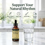 Lymphoria Lymphatic Drainage Drops, Lymphatic System Support, Immune System, Natural Herbal Blends, Vegan & Non-GMO