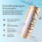BRĒZ FLOW Lion’s Mane Mushroom Drink 12 Pack, Lemon Elderflower, Supports Mood & Focus, Non-Alcoholic Sparkling Adaptogen Drink, Functional Mushrooms, Feel Clear, Calm & Refreshed- 12 Fl oz Cans