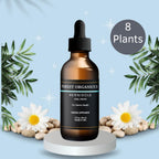 Hernia Health Dietary Supplement - Extract from 24 Plants for Digestive Support - Herbal Hernia Support Drops - Strengthens Weak Tissues and Aids with Hernias I Hernisole