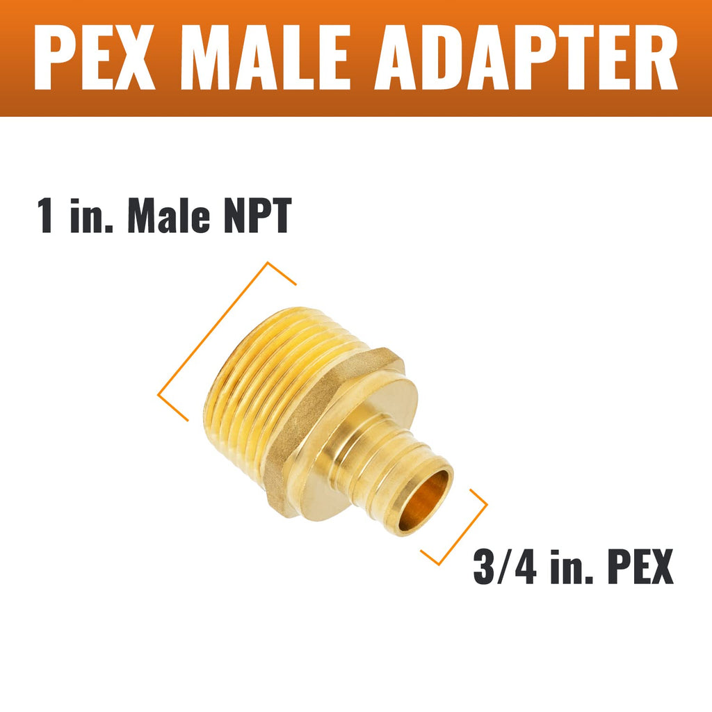 SUNGATOR 3-Pack PEX 3/4" x 1" NPT Male Threaded Adapter Crimp Fitting, No Lead Brass