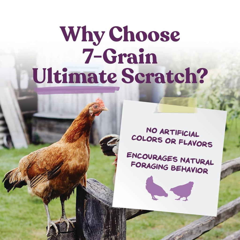 Manna Pro 7-Grain Ultimate Chicken Scratch Treat, Non-GMO, 10 lb Bag