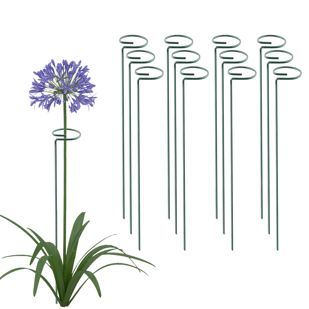 Thealyn 20 Pack 16 Inch Plant Support Stakes, Metal Single stemmed Flower Support Hoops，Garden Plant Stakes Plant Prop for Amaryllis Orchid Lily Rose Peony Tomatoes Gladiolus