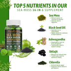 16 In 1 Sea Moss Gummies — US-Made, 3X Potent Seamoss Gummies for Men and Women with Black Seed Oil, Ashwagandha, Burdock, and More — Supports Immunity, Energy & Vitality (30-Day Supply, 60 Gummies)