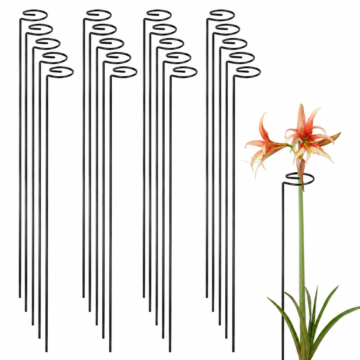 24 Inch 20 Packs Plant Stakes,Plant Supports for Outdoor Plants,Garden Single Stemmed Plant Support Stakes for Gardening,Flowers,Orchid,Peony Lily Rose