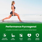 NutraChamps Pycnogenol French Maritime Pine Bark Extract, Premium Circulation Complex, Blood Flow, Nitric Oxide Production, Superior Absorption, Results with Black Pepper Extract, 60 Capsules