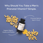 Men Prenatal Multivitamin, Optimized for Reproductive and Sperm Health, 60 Vegan Capsules (30-Day Supply)
