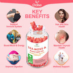 OALSE Sea Moss Gummies for Adults Kids with Chlorophyll, Bladderwrack, Burdock Root, Blck Seed Oil, Vitamin C & D3, Zinc, 8-in-1 Potent Formula Supports Immune System & Boost Energy (1-Pack)