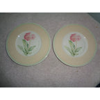 Villeroy & Boch 4 VILLEROY BOCH Country Collection Florea Floris Bread Plates Germany Flower