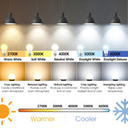 Maylaywood A19 LED Light Bulbs, 60W Equivalent Cool White 6000K 850LM