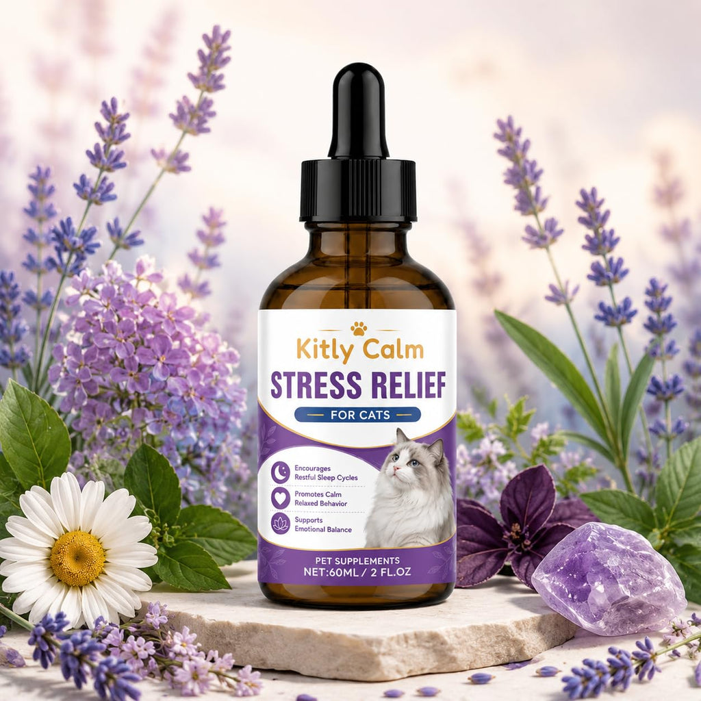 Kitly Calm Cat Calming Drops for Cats, with Valerian, Ashwagandha, L-Theanine, Helps to Manage Stress & Anxiety, Improving Sleep Quality, Help Curb Destructive Behavior, Rapid Absorption, 2floz