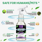 VANQUAR Peppermint Oil Insect & Spider Repellent Spray - All-Natural, Pet-Safe Bug Control for Home, Kitchen & Garden - 16 oz