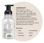 J.R. Watkins Foaming Hand Soap Pump with Dispenser, Moisturizing Hand Soap Foam, Alcohol-Free and Cruelty-Free, Use for Kitchen or Bathroom, Noix De Coco/Coconut, 9 fl oz, 3 Pack
