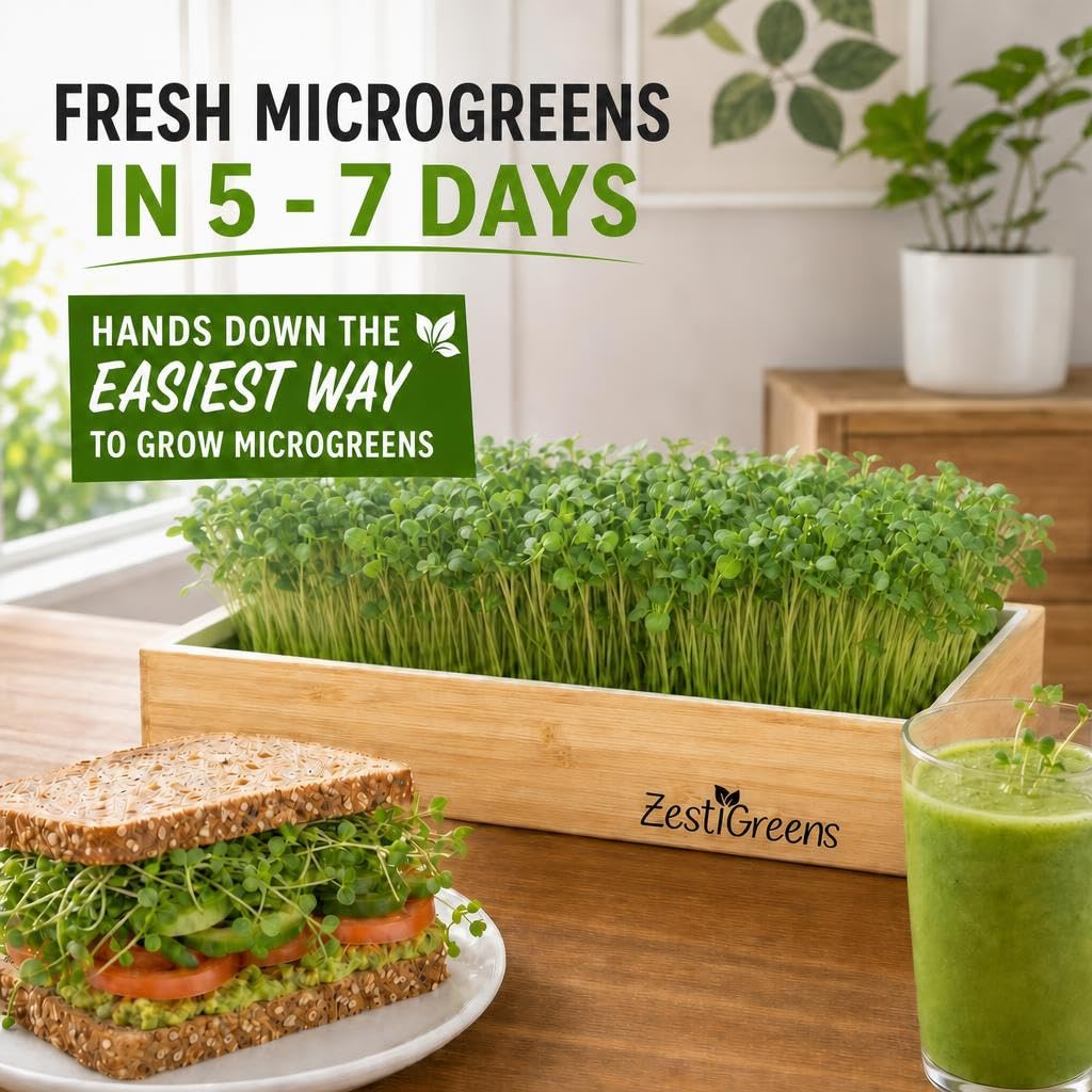 Microgreens Growing Kit - Self-Watering Tray with US Premium Seeds