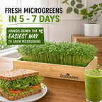 Microgreens Growing Kit - Self-Watering Tray with US Premium Seeds