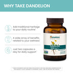 Himalaya Dandelion - Dandelion Root Supplement Supporting Daily Wellness and Health - Vegan, Gluten Free, 1000 mg, 60 Capsules